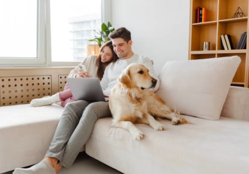 Discover the Benefits of the 20x25x4 MERV 8 Air Filter for Cleaner Air and Healthier Homes and Offices